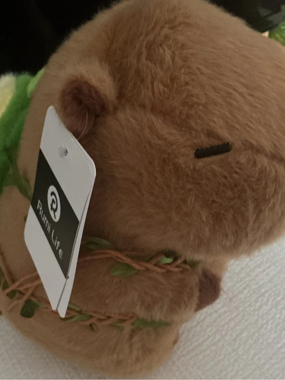 Cute capybara with avocado book bag and it’s very soft